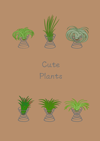 エアパイナップルを育てます(奶茶色)