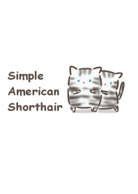 Simple American Shorthair.