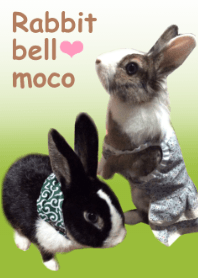 Rabbit -bell & moco-