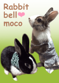 Rabbit bell❤️moco