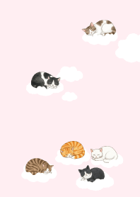 Cat sleeping on a cloud 13