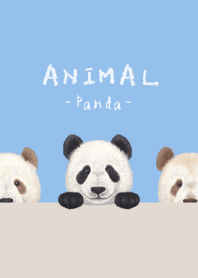 ANIMAL - Panda - SKY BLUE