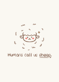 Human call us Sheep.