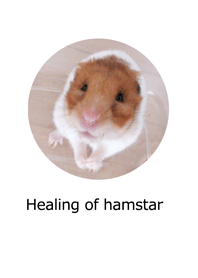 Healing of hamster