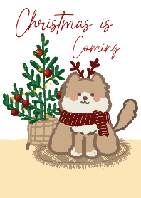 Happy Christmas is coming