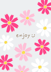 Many cosmoses29 from Japan