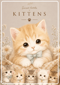 brown Sweet Little Kitten