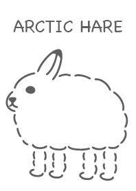 Arctic Hare simple white