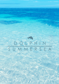 SUMMER SEA HAWAII BLUE DOLPHIN 18