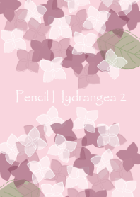 Pencil Hydrangea 2