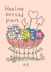 Healing potted plant 03-(1)