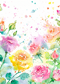 Beautiful rose flower(R4220)