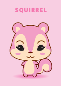 squirrel cute