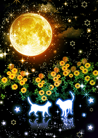 幸運を呼ぶ♪猫たちと向日葵の夜