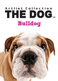 THE DOG ブルドッグ