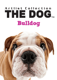 THE DOG Bulldog
