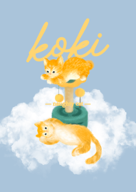 KoKi The Cat