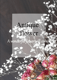 World of Antique dried flower.1