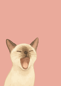 Siamese cat holiday02 pink&blue