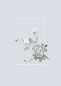 simple and basic rose /blue/