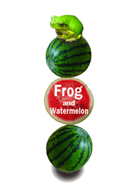 watermelon and tree frog
