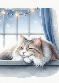 暖かい窓、雪の夜、猫のセレナーデ
