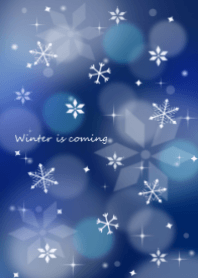 冬の訪れ＊雪の結晶