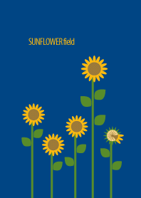 SUNFLOWER field ～ひまわり畑