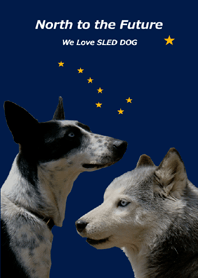 North to the Future! We Love SLED DOG!