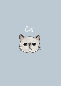 nekoko: grey cat x blue