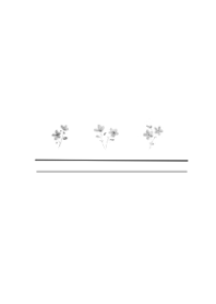 -monotone flower-