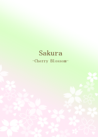SAKURA -Spring Cherry Blossoms-