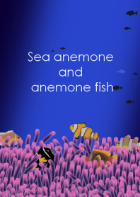 Sea anemone and anemone fish