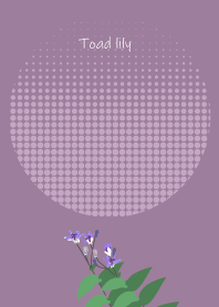 October's birth flower, Toad lily