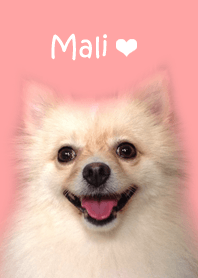 Mali