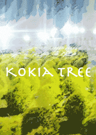 Kokia Tree