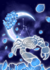 blue cherry blossoms Cancer JPN