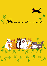 French cat