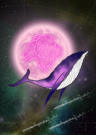 Aries and the Whale -Purple- JPN