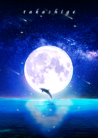 [takashige] dolphin moon night