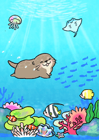 Little otter Kawauso-san(Tropical sea)