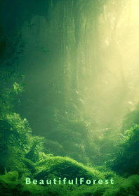 Beautiful Forest-HEALING- 15
