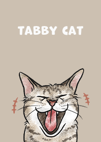 tabbycat4 / tan