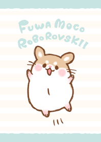 Fluffy Roborovskii hamster