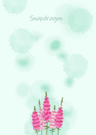 July's birth flower,Snapdragon