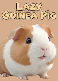 Lazy Guinea Pig VOL.5