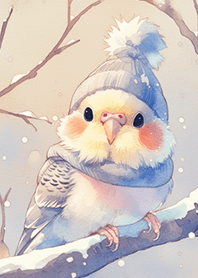 冬日可愛の玄鳳鸚鵡❤️