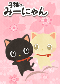 Miinyan of the kitten -Japanese sakura-