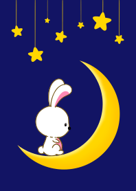 Lonely bunny in the moon