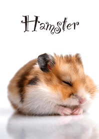 "Hamster vol.4" theme